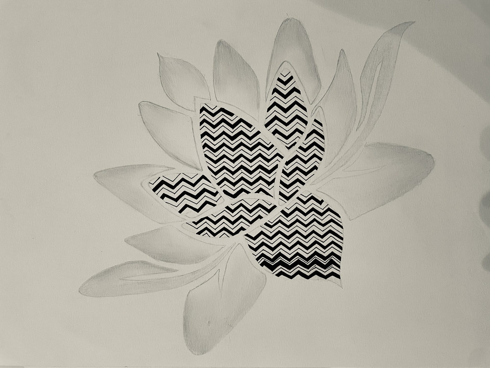 Hand-drawn lotus motif development sketch